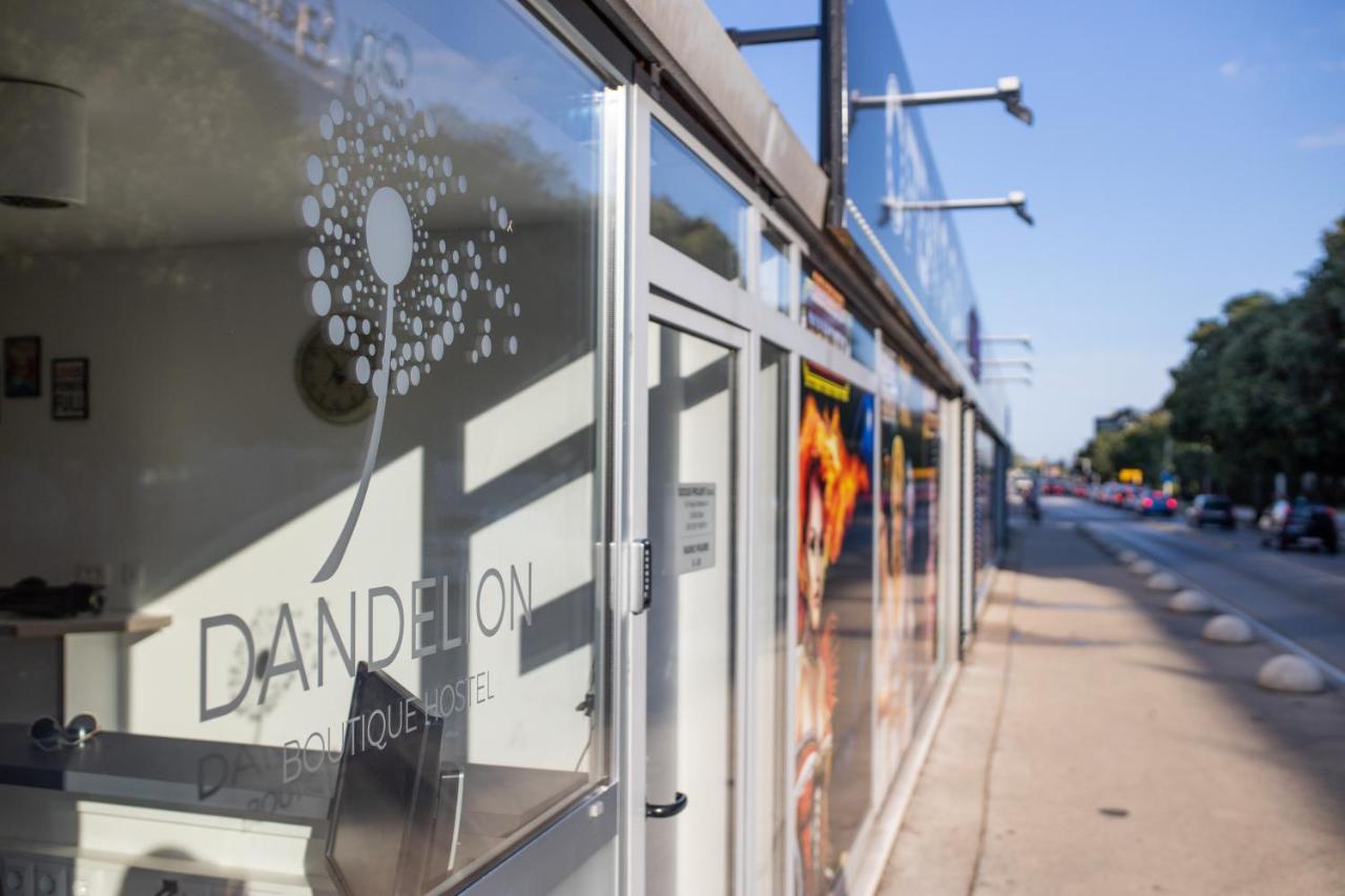 Hostel Dandelion *