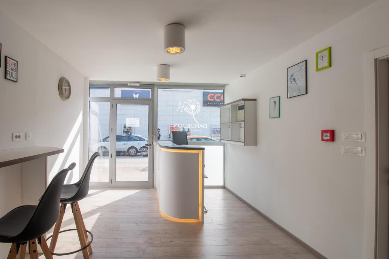 Hostel Dandelion *