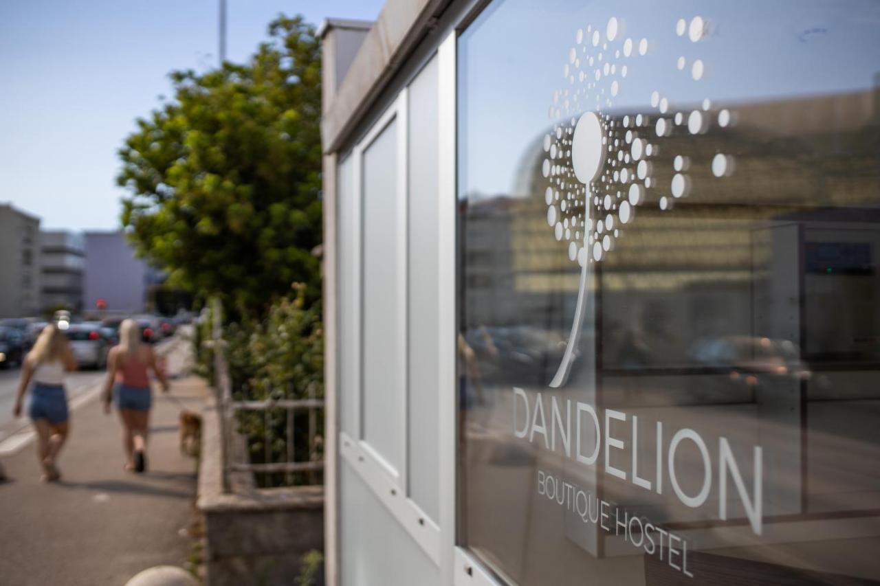 Dandelion * Zadar