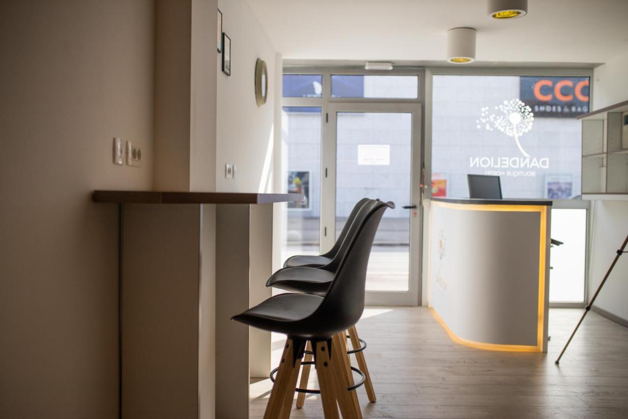 Hostel Dandelion Zadar