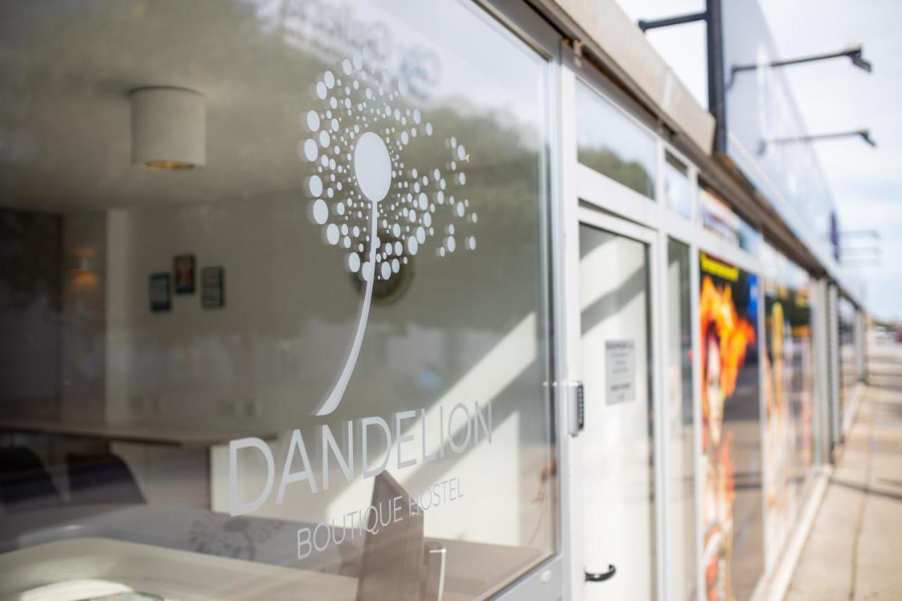 Dandelion * Zadar